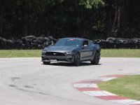 IMG 9641