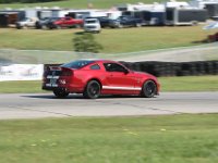IMG 0824