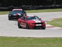 IMG 9778