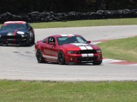 IMG 9779