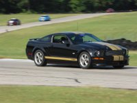 12 Black Shelby GT-H Gold Stripes