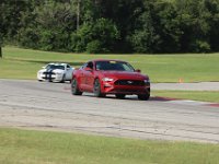 IMG 0459