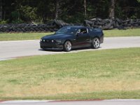 IMG 9104