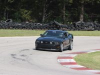 IMG 9138