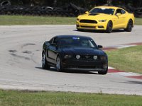 IMG 9139