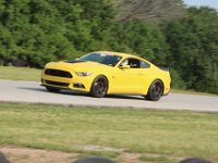 8 Yellow 5.0