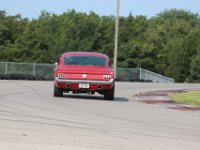 IMG 8490