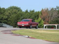 IMG 8491