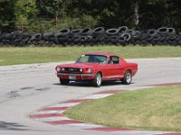 IMG 9130