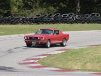 IMG 9131