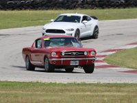 IMG 9132
