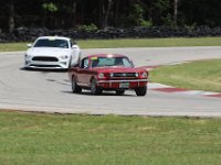IMG 9156