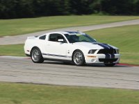 White GT 500 Blu Stripes