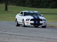 IMG 0479